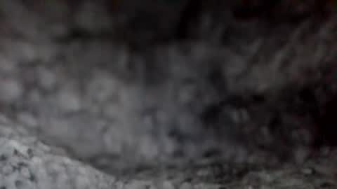 Snapshot of givr6inches chatting on December 2024 11:51:02 AM e-Bizl online show from December 2024 11:51:02 AM