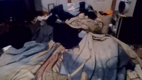 Snapshot of givr6inches chatting on December 2024 04:55:02 AM e-Bizl online show from December 2024 04:55:02 AM