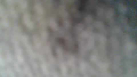 Snapshot of givr6inches chatting on February 2025 10:37:02 AM e-Bizl online show from February 2025 10:37:02 AM