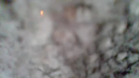 Snapshot of givr6inches chatting on March 2025 01:18:01 PM e-Bizl online show from March 2025 01:18:01 PM