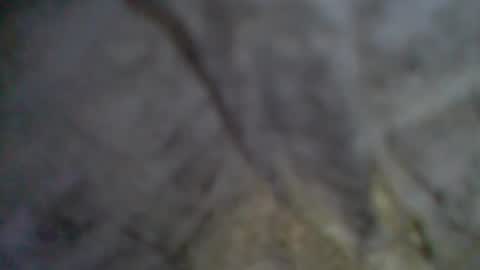 Snapshot of givr6inches chatting on September 2025 09:04:02 PM e-Bizl online show from September 2025 09:04:02 PM