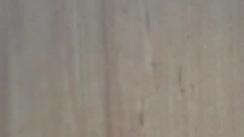 Glyder online show from February 2025 03:41:02 PM