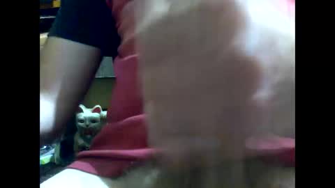 PencilDick online show from January 2025 08:45:01 AM