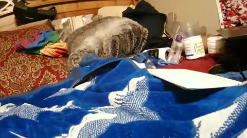 Snapshot of goodbootaye chatting on December 2024 03:59:02 PM Juicy Booty online show from December 2024 03:59:02 PM