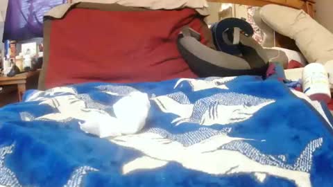 Snapshot of goodbootaye chatting on December 2024 03:24:02 PM Juicy Booty online show from December 2024 03:24:02 PM