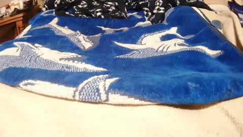 Snapshot of goodbootaye chatting on January 2025 03:37:02 PM Juicy Booty online show from January 2025 03:37:02 PM