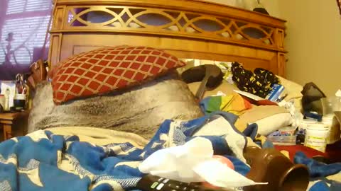 Snapshot of goodbootaye chatting on January 2025 06:53:02 PM Juicy Booty online show from January 2025 06:53:02 PM