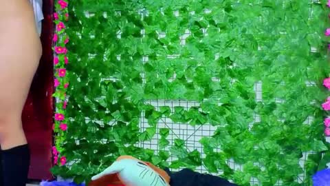 goodgirl_honey online show from April 2026 07:31:01 AM