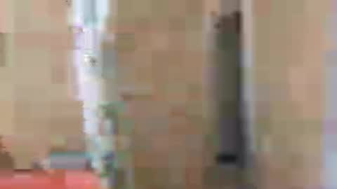 gordito_xx online show from July 2026 09:14:02 PM