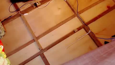 Janna Marie online show from February 2025 05:37:01 PM