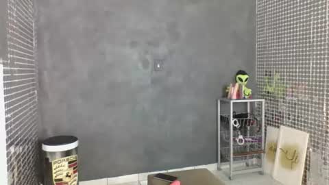 Gracinha online show from August 2026 01:38:02 PM