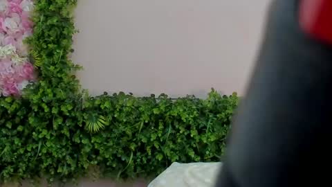 Mi Name is violeta  online show from March 2025 04:15:02 AM