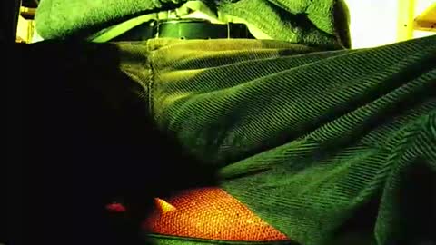 grapefruit online show from November 2025 09:21:01 AM