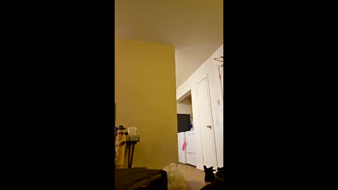 greenvertgo online show from December 2025 12:59:02 AM