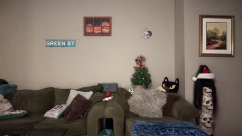 Snapshot of greenxxxqueen chatting on December 2024 07:00:02 AM SexQueen Nikki online show from December 2024 07:00:02 AM