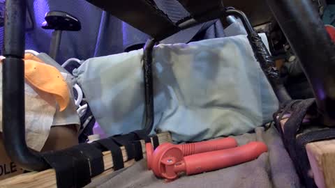 Snapshot of gregbball1 chatting on February 2025 02:35:01 AM electrogee1 online show from February 2025 02:35:01 AM