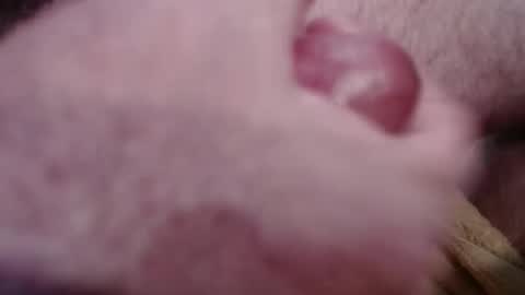 Greg online show from January 2025 04:31:02 PM