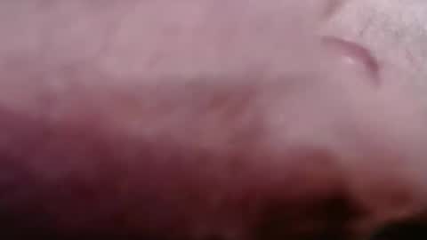 Greg online show from February 2026 08:43:01 PM