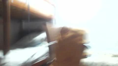 Snapshot of gregory_x chatting on January 2025 03:38:02 AM Gregory max online show from January 2025 03:38:02 AM