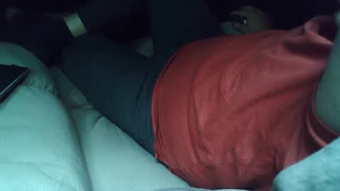 Grey Stud online show from February 2025 10:12:01 AM