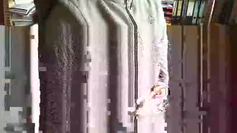 greyhounddog online show from November 2025 09:42:02 AM