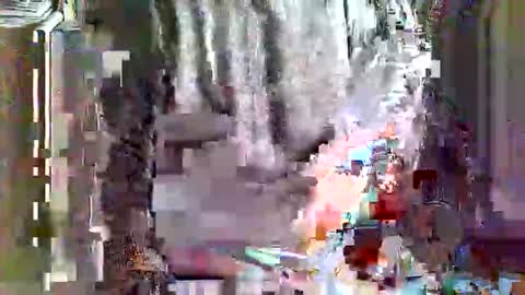 greyhounddog online show from April 2026 09:29:01 AM