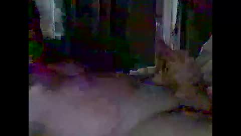 Snapshot of grittslappa chatting on April 2026 03:00:02 AM grittslappa online show from April 2026 03:00:02 AM