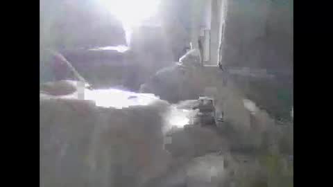 Snapshot of grittslappa chatting on May 2026 12:38:01 AM grittslappa online show from May 2026 12:38:01 AM