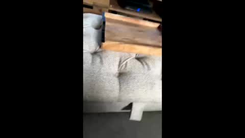 Snapshot of gt79802068 chatting on November 2025 12:04:02 PM gt79802068 online show from November 2025 12:04:02 PM