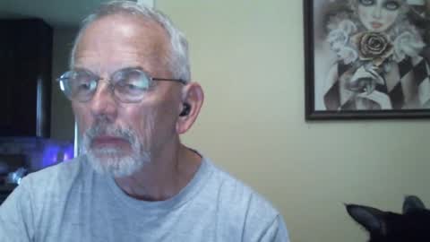 Roy online show from December 2024 01:46:01 PM