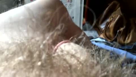 guttersnipe71 online show from November 2025 02:13:01 PM