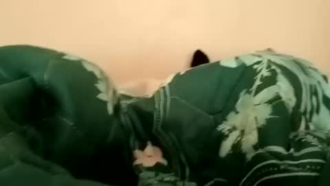 guttybeton online show from April 2026 06:16:01 AM