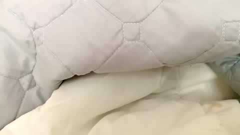 guttybeton online show from April 2026 07:17:02 AM
