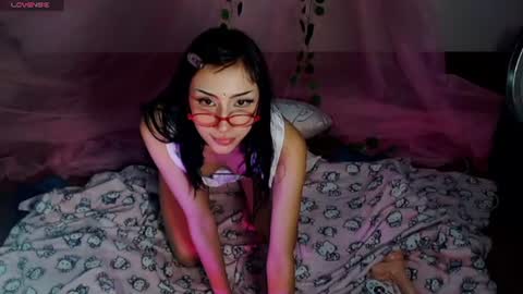 Snapshot of hachiko0 chatting on July 2026 05:02:01 AM Hachi 3 online show from July 2026 05:02:01 AM