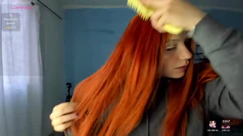 Hadde online show from May 2026 11:18:01 AM