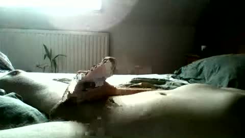 hafold online show from July 2026 07:59:02 AM