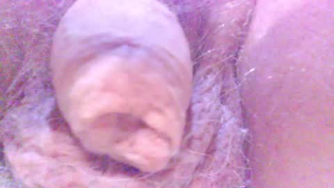 Snapshot of hagridthehorrible chatting on February 2025 12:53:02 AM hagridthehorrible online show from February 2025 12:53:02 AM