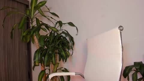 Snapshot of hailey_firee chatting on October 2025 10:21:01 AM Hailey online show from October 2025 10:21:01 AM