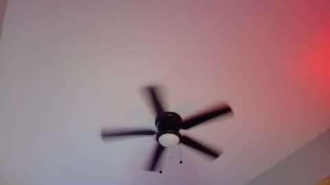 Snapshot of haileysquirts chatting on March 2025 09:06:02 AM Hailey online show from March 2025 09:06:02 AM