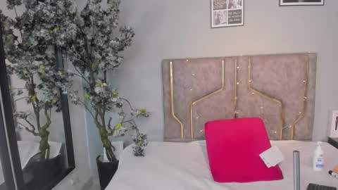 Snapshot of haileystonei chatting on November 2025 11:31:01 AM haileystonei online show from November 2025 11:31:01 AM