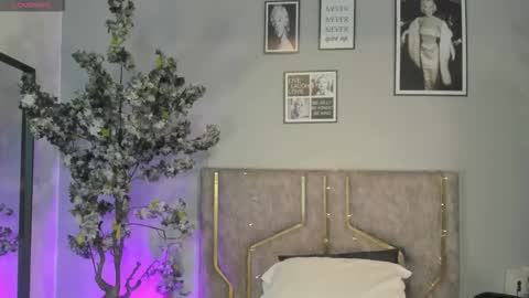 Snapshot of haileystonei chatting on December 2025 11:30:02 AM haileystonei online show from December 2025 11:30:02 AM