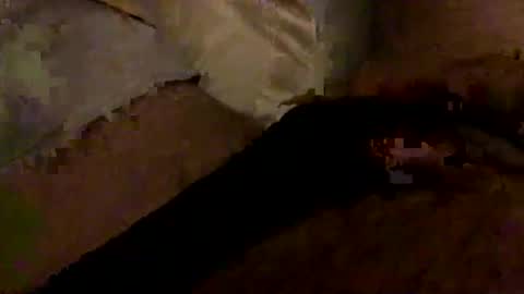 Bruce online show from January 2026 03:30:02 AM