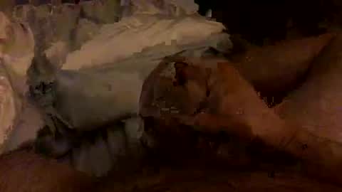 Bruce online show from February 2026 03:45:01 AM