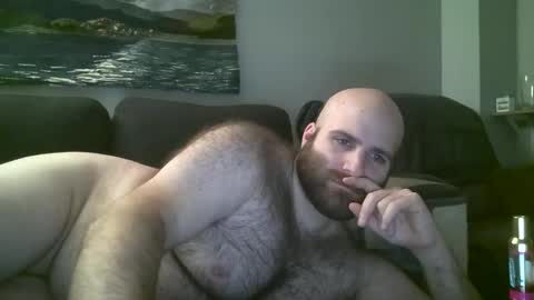 Snapshot of hairiestbear chatting on January 2025 07:58:01 AM Hairiest Bear online show from January 2025 07:58:01 AM