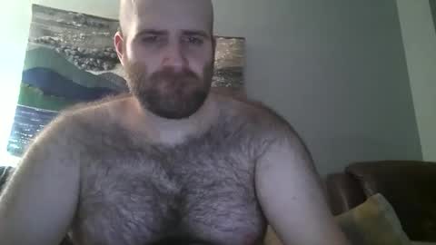 Snapshot of hairiestbear chatting on February 2025 11:34:02 AM Hairiest Bear online show from February 2025 11:34:02 AM