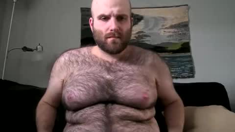 Snapshot of hairiestbear chatting on February 2025 07:42:02 PM Hairiest Bear online show from February 2025 07:42:02 PM