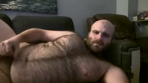 Snapshot of hairiestbear chatting on March 2025 04:50:02 AM Hairiest Bear online show from March 2025 04:50:02 AM