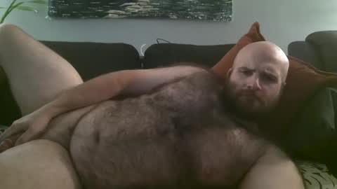 Snapshot of hairiestbear chatting on October 2025 03:58:01 AM Hairiest Bear online show from October 2025 03:58:01 AM