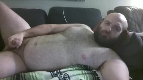 Hairiest Bear online show from February 2026 05:40:02 AM