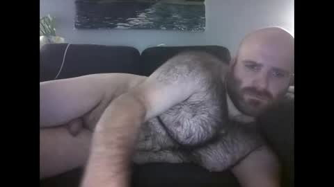 Hairiest Bear online show from May 2026 09:47:01 AM